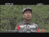谁是终极英雄 《谁是终极英雄》 20131201 战地天使