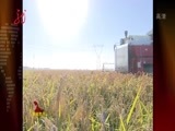全省新闻联播 《全省新闻联播》 20151010