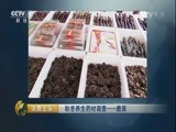 消费主张 《消费主张》 20160928 秋冬养生药材调查——鹿茸