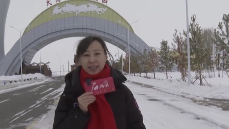 畅游天马雪域 解锁昭苏“冰雪+”