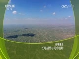 走近科学 《走近科学》 20170705 长寿胡杨与短命植物
