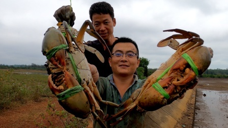 龙哥想老婆孩子要回老家，半夜跟渔夫赶海，抓一大兜螃蟹带走