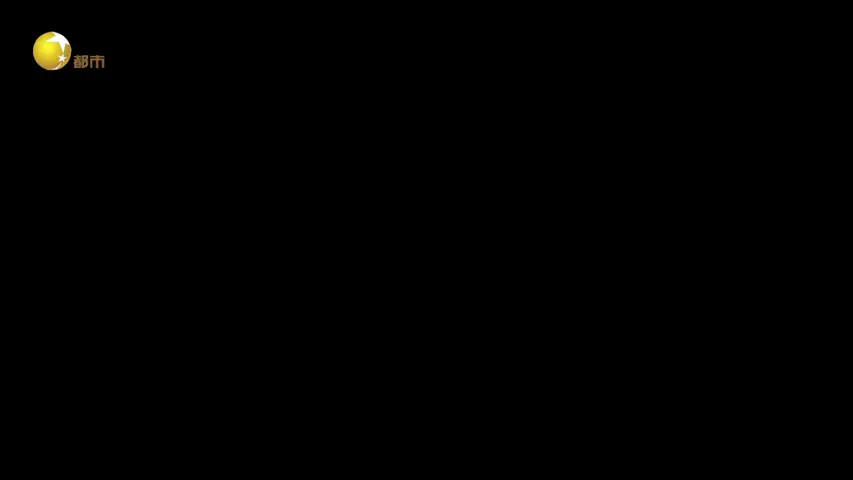 《伟大的长征》第2集