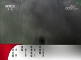 动物世界 《动物世界》 20170909 动物王国世锦赛