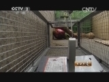 生财有道 《生财有道》 20150402 虫虫特攻队
