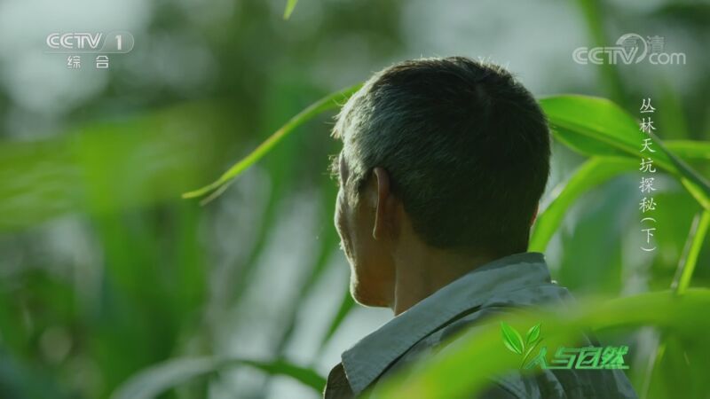人与自然 《人与自然》 20200910 丛林天坑探秘（下）