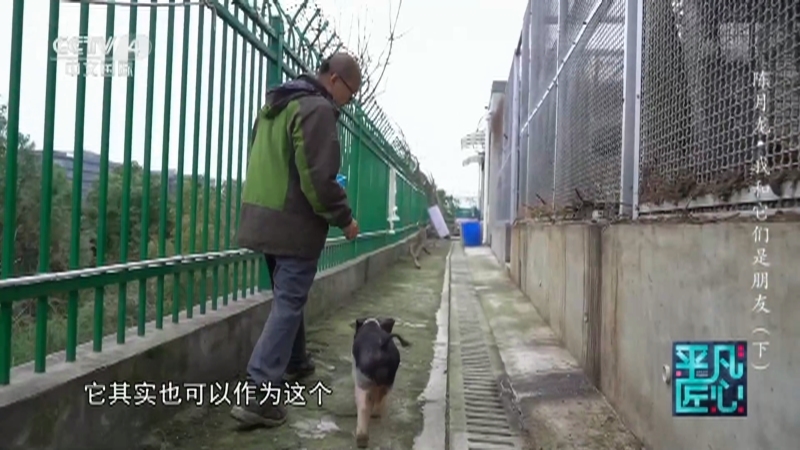 《平凡匠心》 20210418 陈月龙·我和它们是朋友（下）