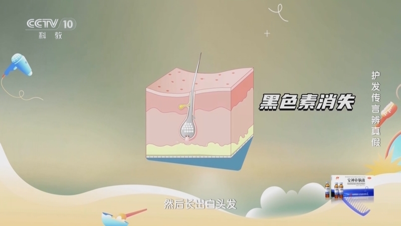健康之路 《健康之路》 20240911 护发传言辨真假