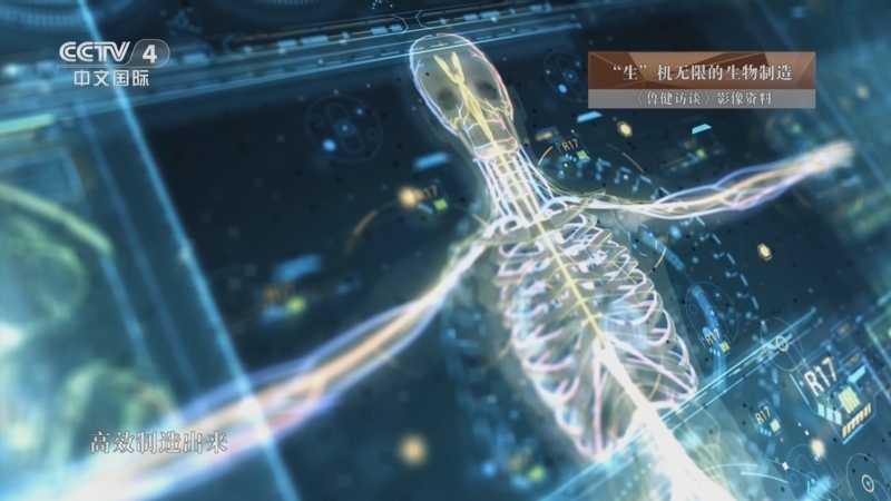 《鲁健访谈》 20260116 对话徐弢