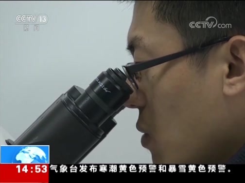 新闻直播间 《新闻直播间》 20181229 14:00