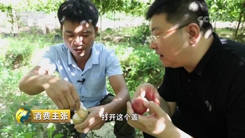 消费主张 《消费主张》 20180918 2018丰收季：丰收的果园（海南水果）
