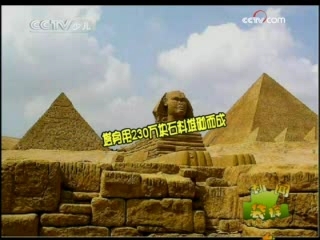 新闻袋袋裤 新闻袋袋裤 2008年 第292期