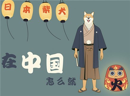 视知百科 日本的柴犬在中国怎么就火了？