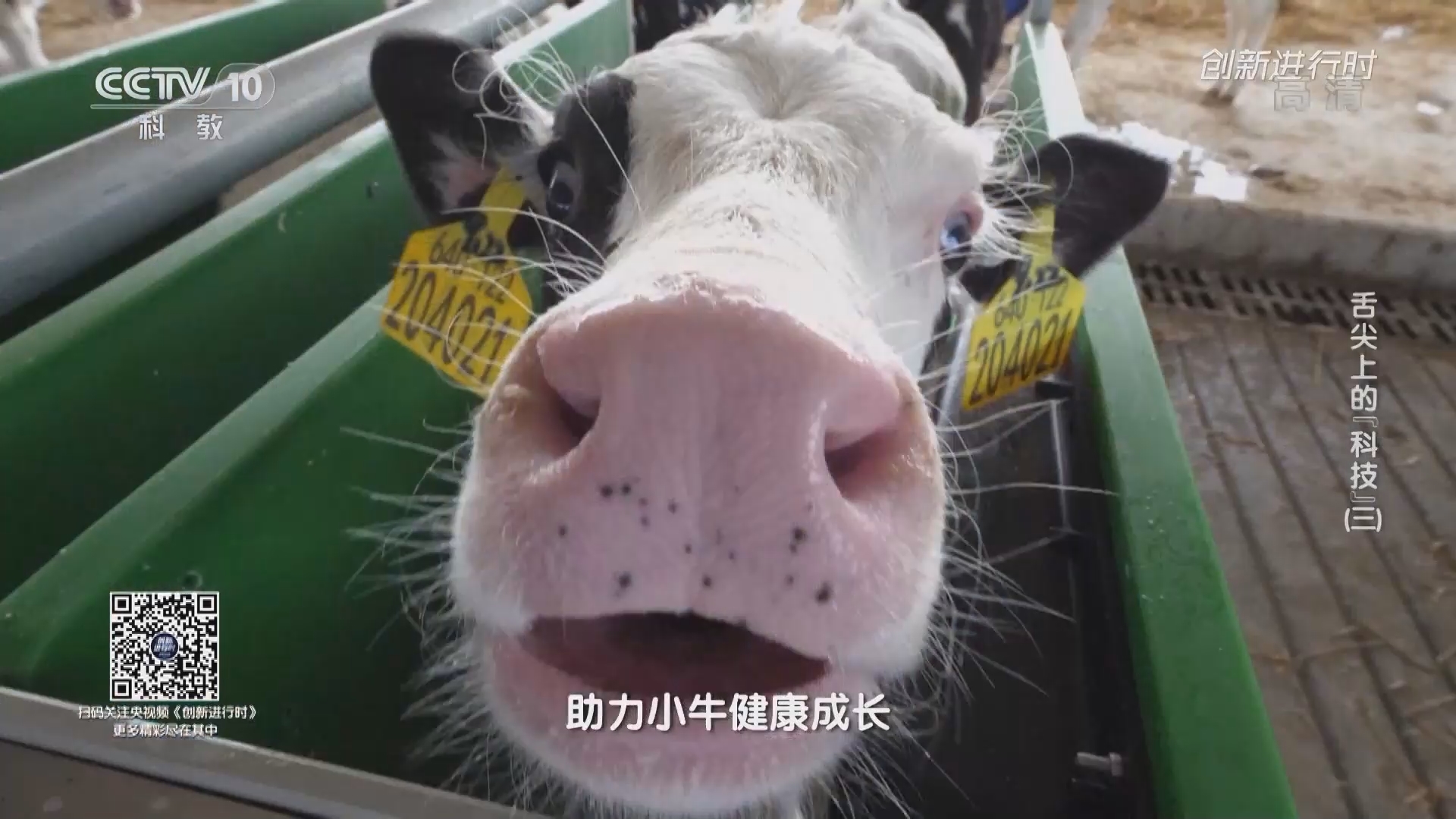 《创新进行时》 20211005 舌尖上的“科技”（三）