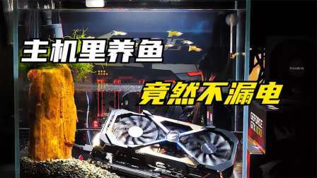 为什么在电脑主机里养鱼，也不会发生漏电，里面放了什么液体吗？