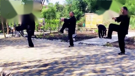 开练吧功夫 练习武当28式太极拳老外真是上心了，每天练定收获