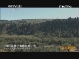 远方的家 百山百川行 第一百四十集 探访“天山翡翠”库尔德宁《远方的家》 20131114