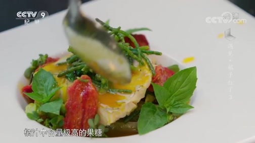 《时代》 20181114 遇见·橘子红了 第三集 丝路橘香