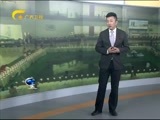 新闻夜总汇 《新闻大通道》 20160719