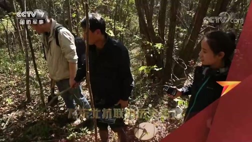 军迷行天下 《军迷行天下》 20191120 寻找七星砬子兵工厂