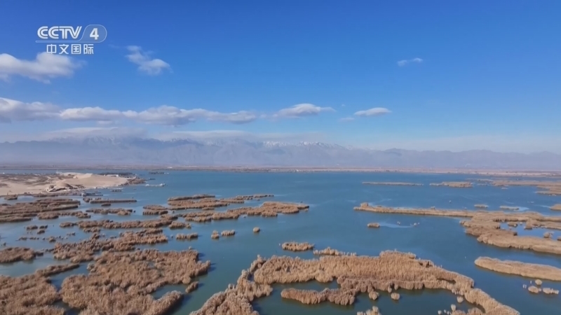 《远方的家》 20260304 塞上江南 魅力宁夏