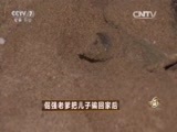 致富经 《致富经》 20150915 倔强老爹把儿子骗回家后