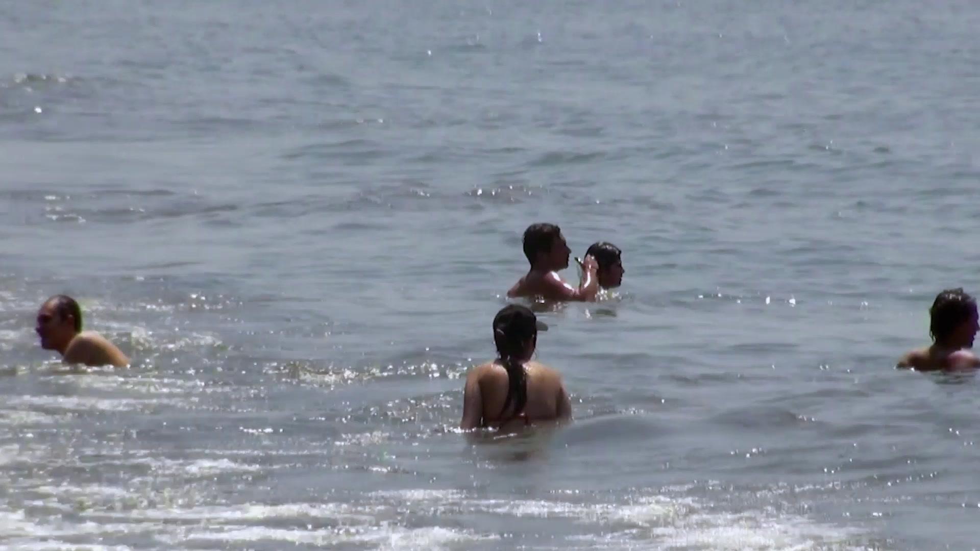 鲨鱼攻击实录第二季 第6集