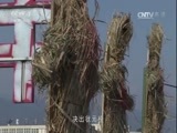 军事纪实 《军事纪实》 20170126 军中状元360——2017季①野战体能状元