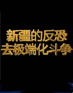CCTV-4新疆的反恐去极端化斗争 海报
