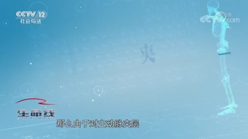 生命线 《生命线》 20191228