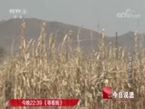 今日说法 《今日说法》 20180130 没有目的地