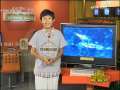 新闻袋袋裤 《新闻袋袋裤》小海豚三兄妹登台献艺
