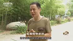 致富经 [致富经]蛇痴险中求财 20160819