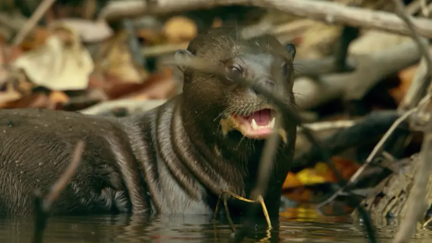 《伟大的河流》第1集