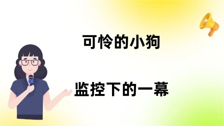 品人生百味第二季 可怜的小狗，监控下的一幕