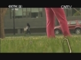 购时尚 《购时尚》 20140509 我要在毕业季绽放