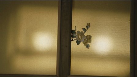 二更视频 在清朝 想上位 全靠它 681