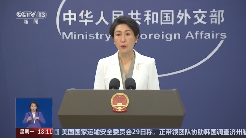共同关注 《共同关注》 20241230