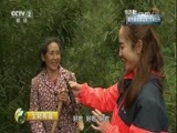 生财有道 《生财有道》 20170511 咱们家乡春天美——重庆武隆：生态旅游 春财兴隆
