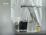 探索发现 《探索发现》 20180402 巴盐传奇（上）