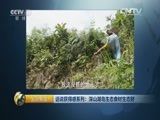 生财有道 《生财有道》 20160323 话说获得感系列：深山湖岛生态食材生态财
