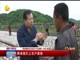 辽宁新闻 《辽宁新闻》 20180523