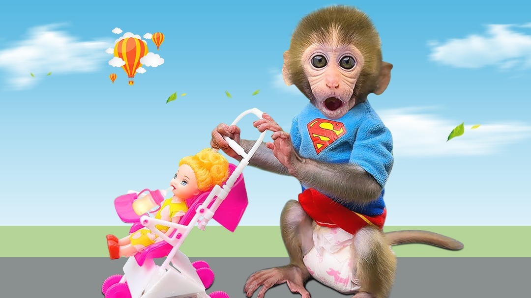 小猴子啵啵第5季