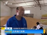新闻午报-山西 《新闻午报-山西》 20170719