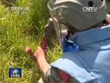 军事报道 《军事报道》 20150502