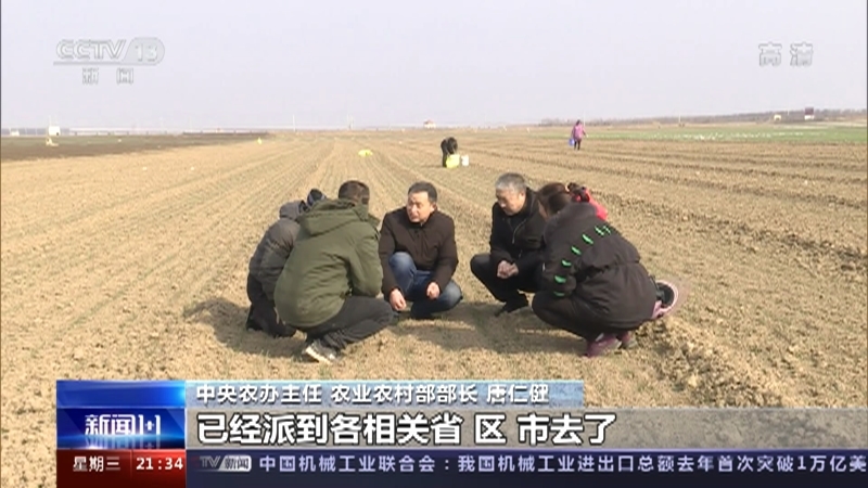 新闻1+1 《新闻1+1》 20220223 中央一号文件，2022的“三农”重点！
