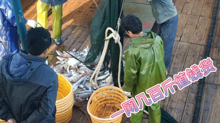 南澳岛赶海日记 几百万元的大铁船拖网，2小时拖上来的鱼获，难以想象场面太壮观
