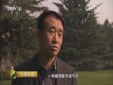 生财有道 《生财有道》 20151110 秋收系列：咱们家乡有特产——吉林柳河大米