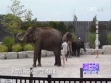 博乐先生微逗秀 《博乐先生微逗秀》 20150712