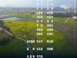 环球经济连线 《环球财经连线》 20170228